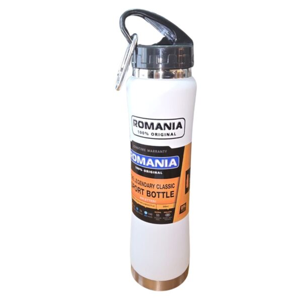 Botella de Acero Inoxidable de 600 Ml