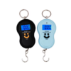BAL-01-1.png Balanza riñon hasta 50 kg (BAL-01)