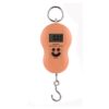 BAL-01-5.jpg Balanza riñon hasta 50 kg (BAL-01)