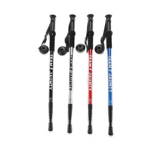 BTX2-3-1.jpeg Baston de trekking de aluminio telescopico 135cm (BTX-2-3)