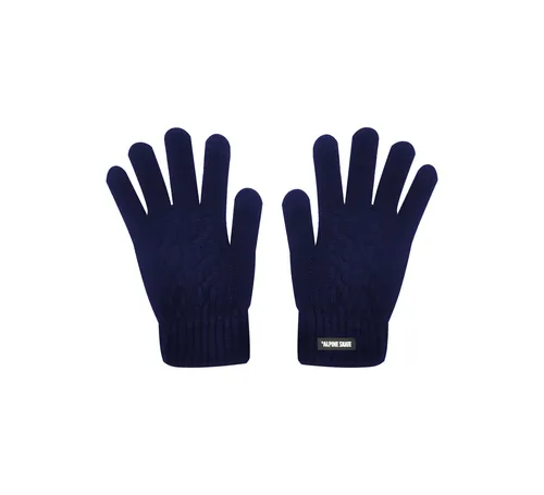 D_NQ_NP_667171-MLA76319778332_052024-O.webp Guantes Alpine Skate Tactil (15724)