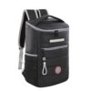 descarga-1-19.jpg Mochila Cooler Discovery (19064)