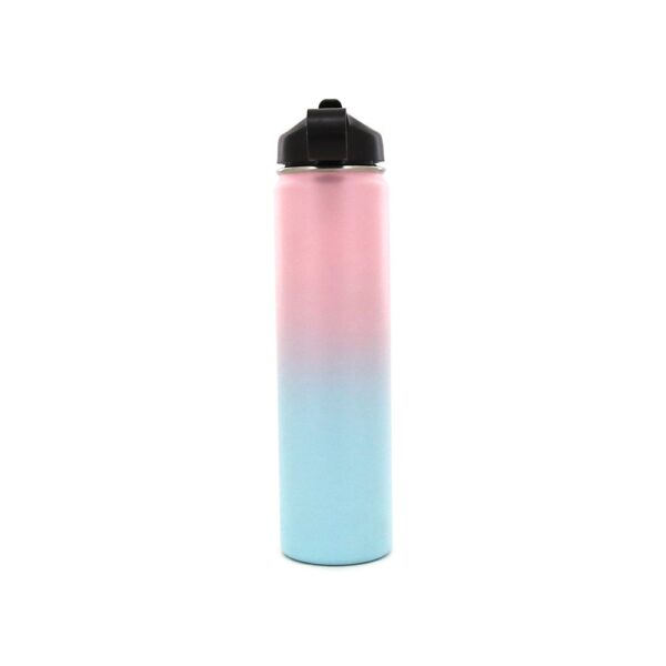 descarga-1.jpg Botella Termica Trendy 500 ML (12514)