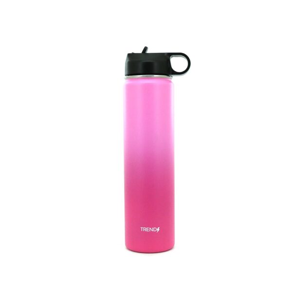 descarga-2.jpg Botella Termica Trendy 500 ML (12514)
