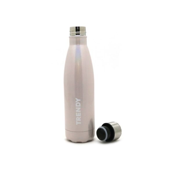 descarga-6-1.jpg Botella Termica Trendy 500 ML (16451)