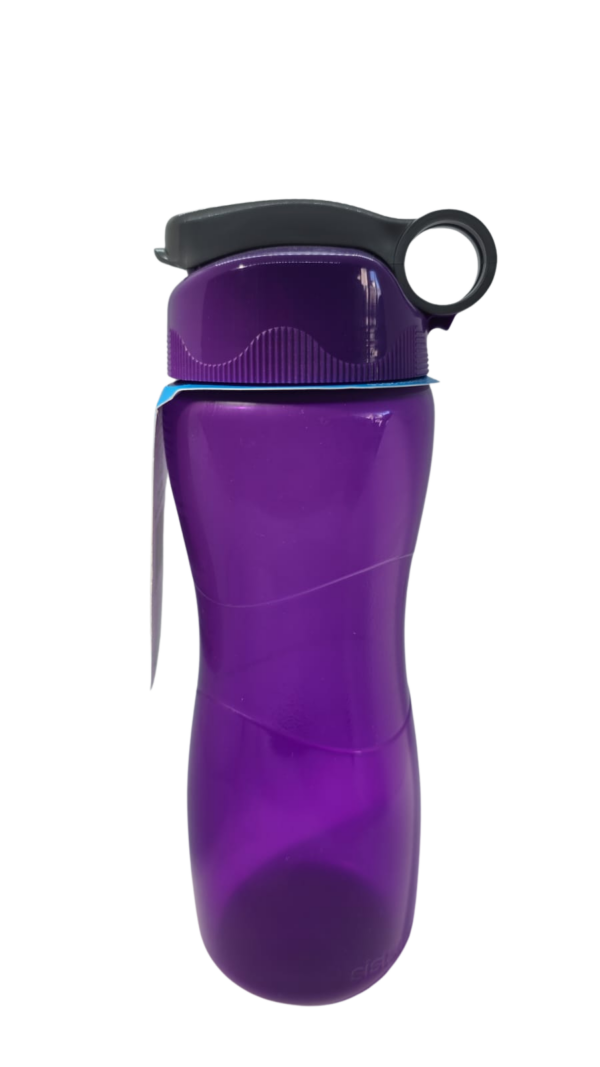 width_900.png Pack Botella SISTEMA x 6 unidades (Cod 590)